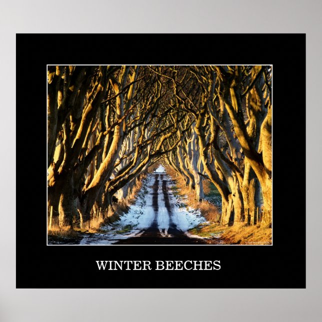 Affiches Hiver (Devant)