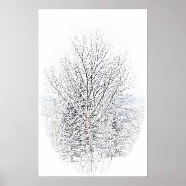 Affiches hiver canadien (Devant)
