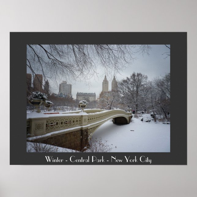 Affiches Hiver - Central Park - New York City (Devant)