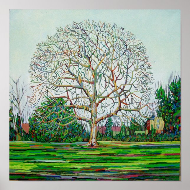 Affiches Hiver de l'arbre à boeufs (Devant)