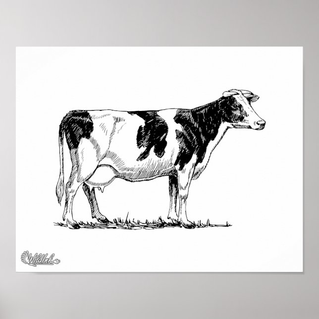 Affiches Holstein Cow (Devant)