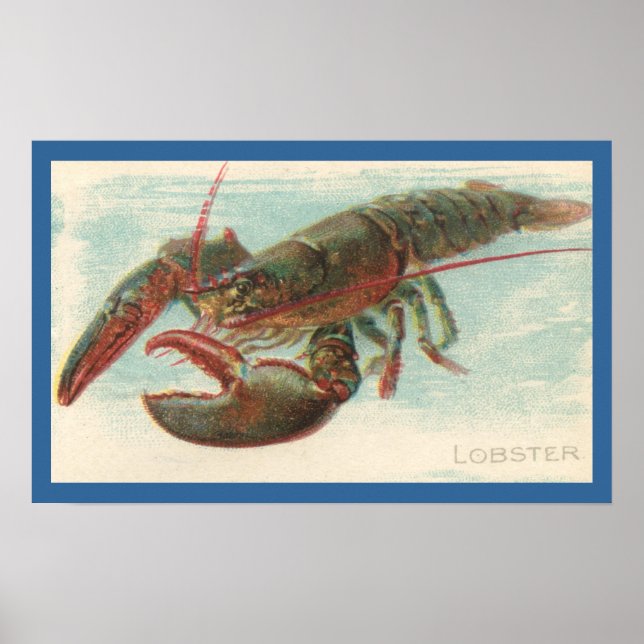 Affiches Homard (Devant)