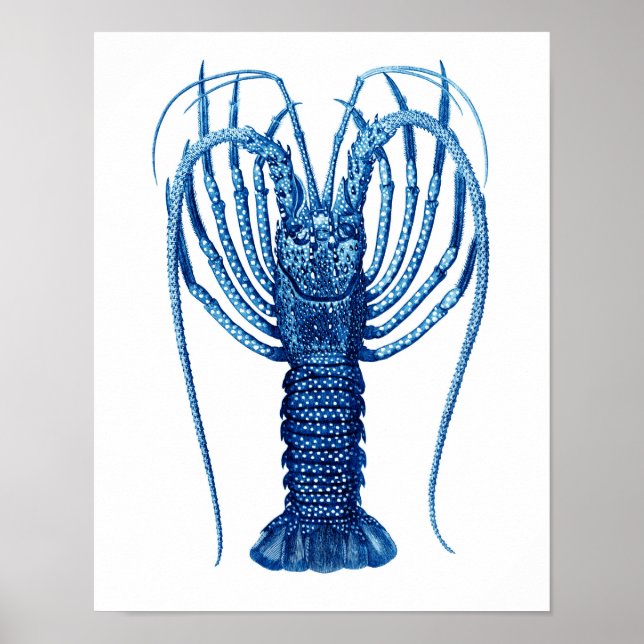 Affiches Homard bleu vintage Histoire naturelle Art Imprime (Devant)