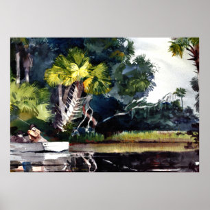 Affiches Homer - Homosassa Jungle