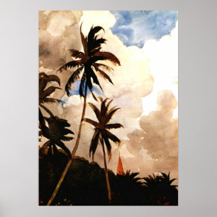 Affiches Homer - Palm Trees, Bahamas