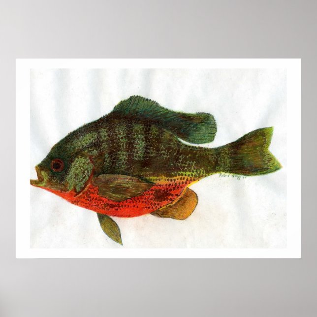 Affiches Homme Bluegille (Devant)