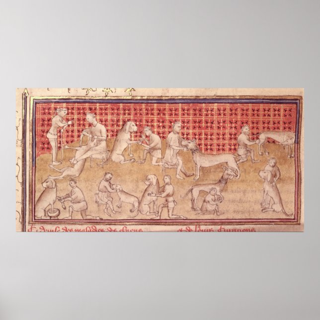 Affiches Hommes s'occupant des chiens de chasse (Devant)