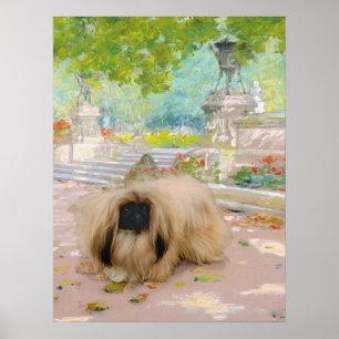 Affiches Honey Pekingese