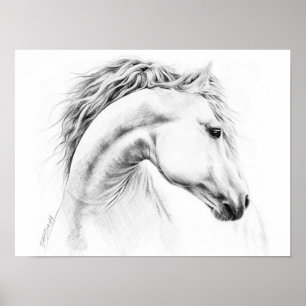 Affiches Horse portrait Pencil drawing Equestrian art