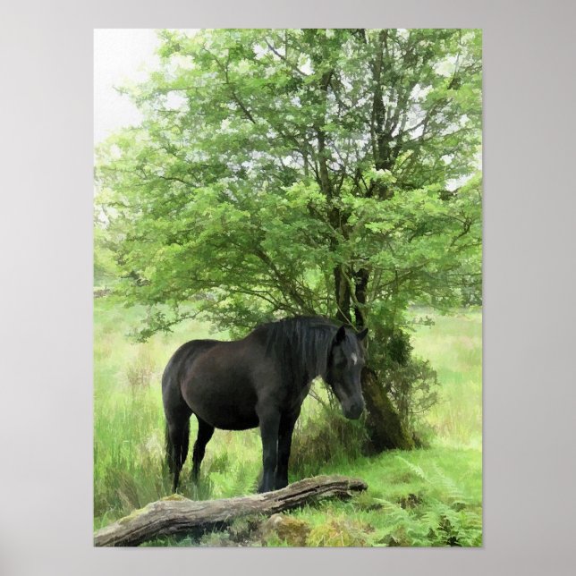 AFFICHES HORSES (Devant)