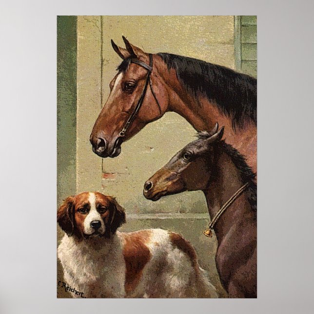 Affiches Horses and St Bernard Vintage Art (Devant)