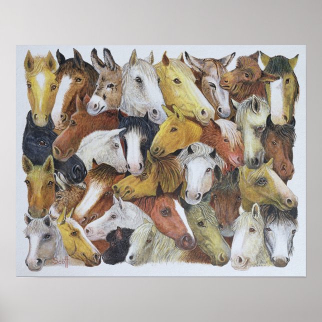 Affiches Horses Horses (Devant)