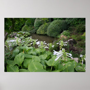 Affiches Hosta dans un jardin zen 2