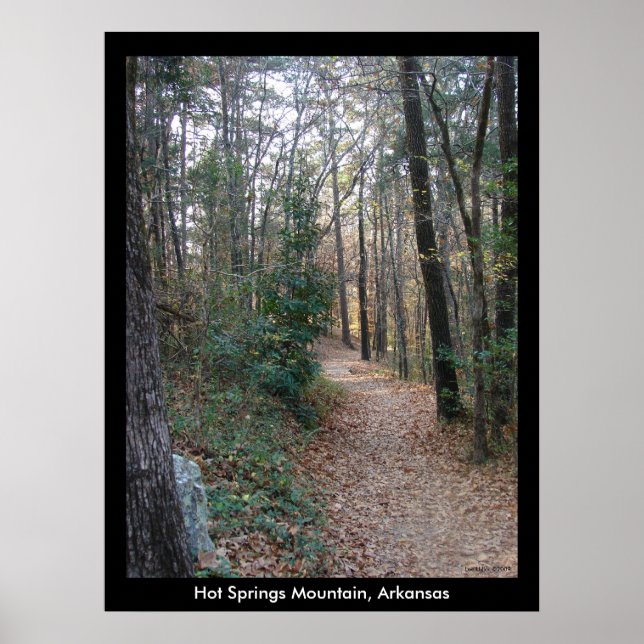 Affiches Hot Springs Mountain Arkansas Chemin Grande impres (Devant)