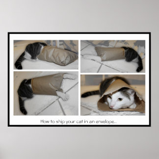 Affiches How to ship your cat in an envelope...funny print