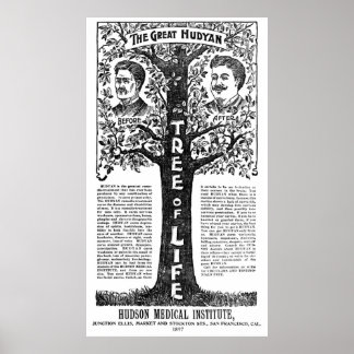 Affiches Hudyan Remedio Therapy - 1897