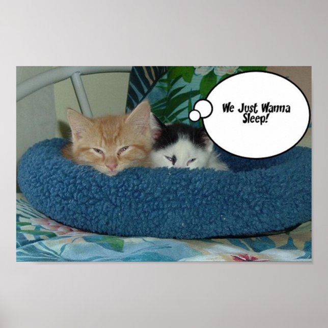 Affiches Humour de chat Tabby Orange (Devant)