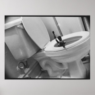 Affiches Humour de toilettes