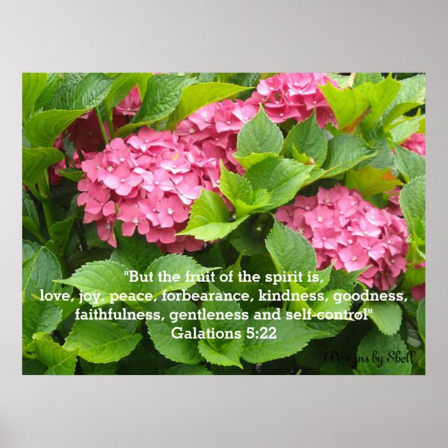 Affiches Hydrangeas roses avec Écriture (Devant)