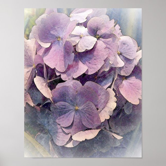 Affiches Hydrangeas vintage violetPhoto Art (Devant)