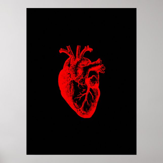Affiches I love / I coeur anatomie cardiaque (Devant)