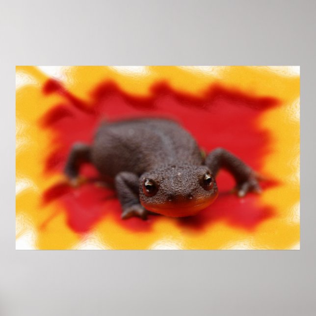 Affiches I Love Newts Fine Art Prints (Devant)