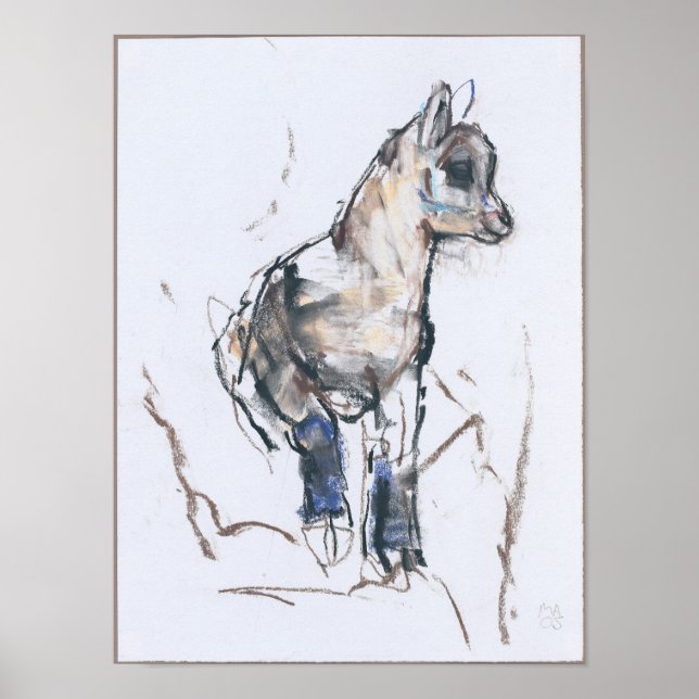 Affiches Ibex Kid (Devant)