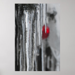 Affiches Icicules