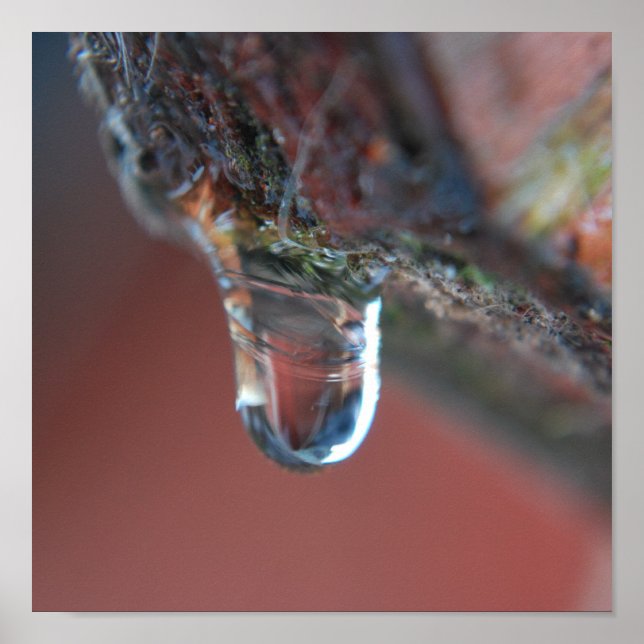 Affiches Icône colorée (Devant)