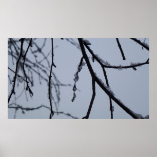 Affiches Icy Branches Winter Nature Photographie