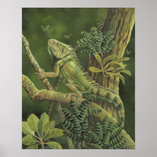 Affiches Iguana