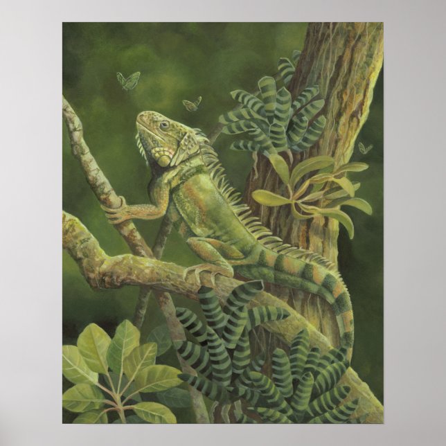 Affiches Iguana (Devant)