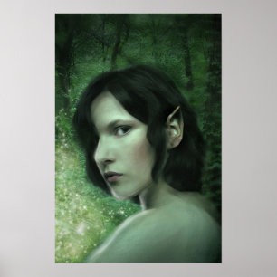 Affiches Il y a de la magie dans la forêt