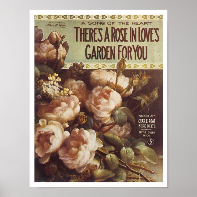 Affiches Il y a une couverture Rose Vintage (Devant)