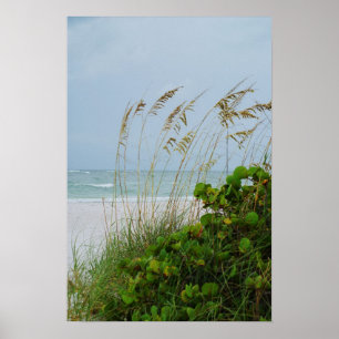 Affiches Île d'Anna Maria, la Floride, scène de plage