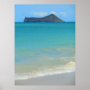 Affiches Île de lapin