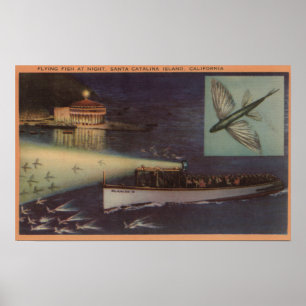Affiches Île de Père Noël Catalina, casino de CA, poisson
