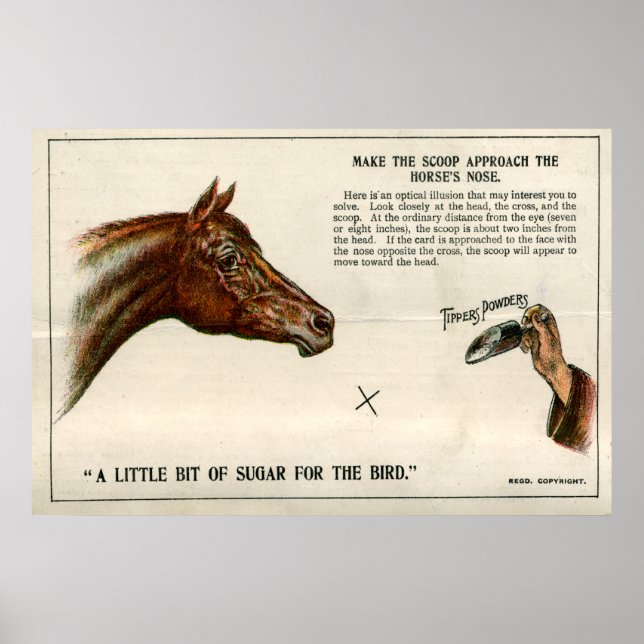 Affiches Illusion optique 1896 (Devant)