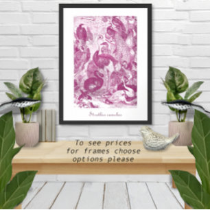 Affiches Illustration d'autruche vintage Plum Struthio came