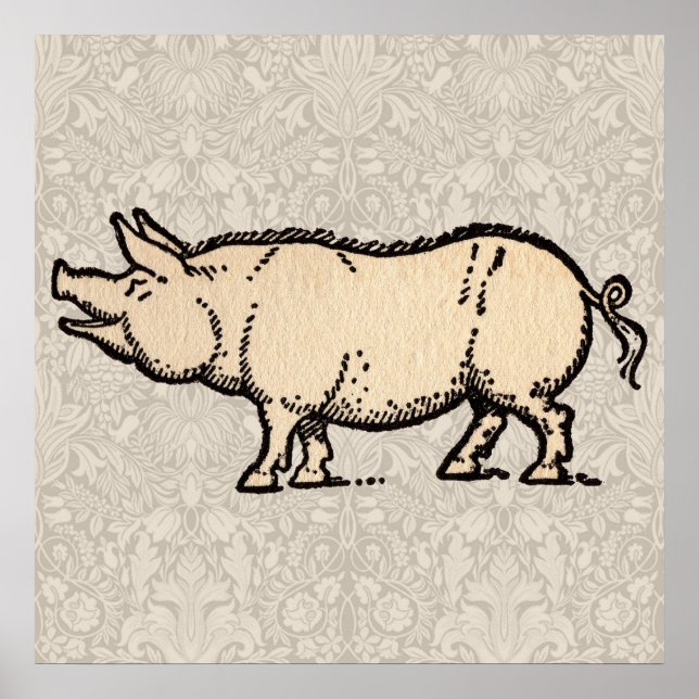 Affiches Illustration de cochon antique mignon vintage (Devant)