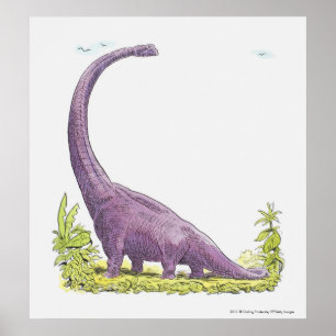 Affiches Illustration de dinosaure Giraffatitan