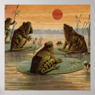 Affiches Illustration de grenouilles Lily Pads Moon