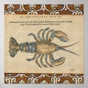 Affiches Illustration de homard, fruits de mer du Maine