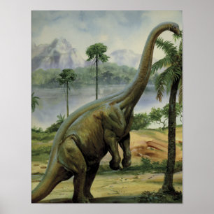 Affiches Illustration de l'Apatosaure (Brontosaurus)