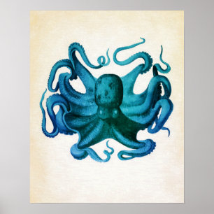 Affiches Illustration de pieuvre aquarelle