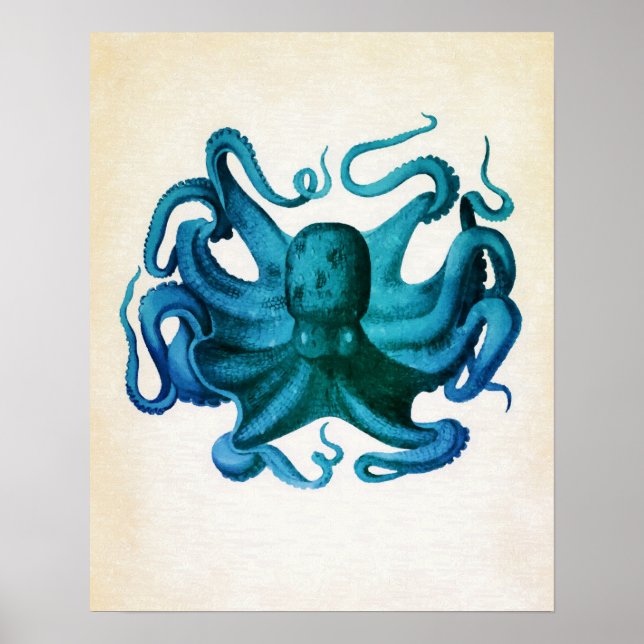 Affiches Illustration de pieuvre aquarelle (Devant)
