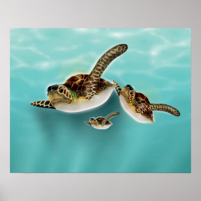 Affiches Illustration de tortues marines (Devant)