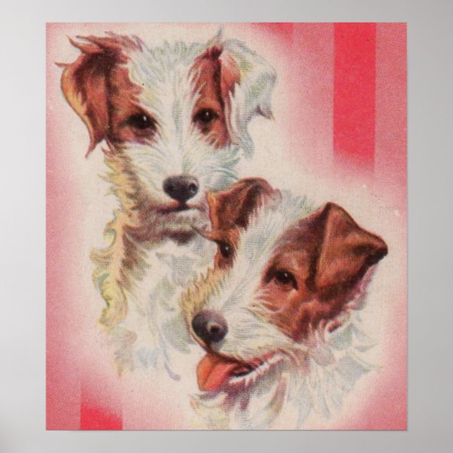 Affiches Illustration des terriers CUTE Jack Russell (Devant)