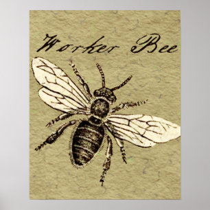 Affiches Illustration d'insecte abeille ouvrière