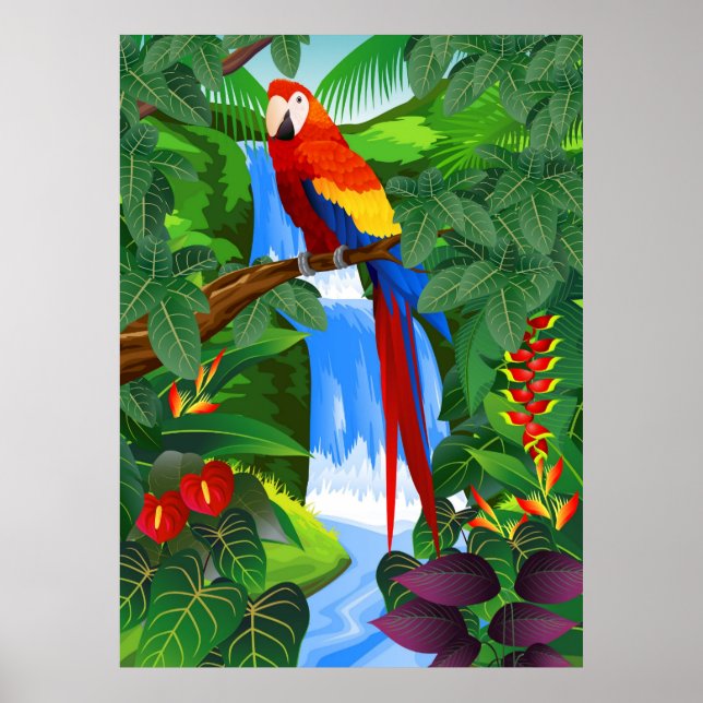 Affiches Illustration d'oiseau de Macaw (Devant)